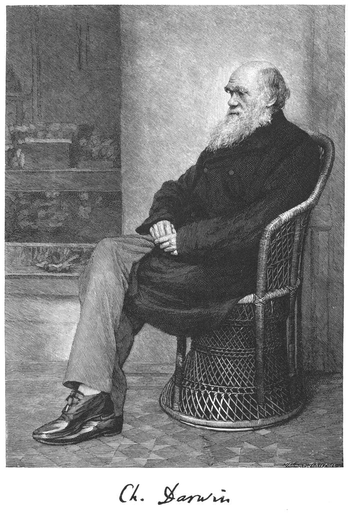 Detail of Charles Darwin, English naturalist, 1883 by Unknown