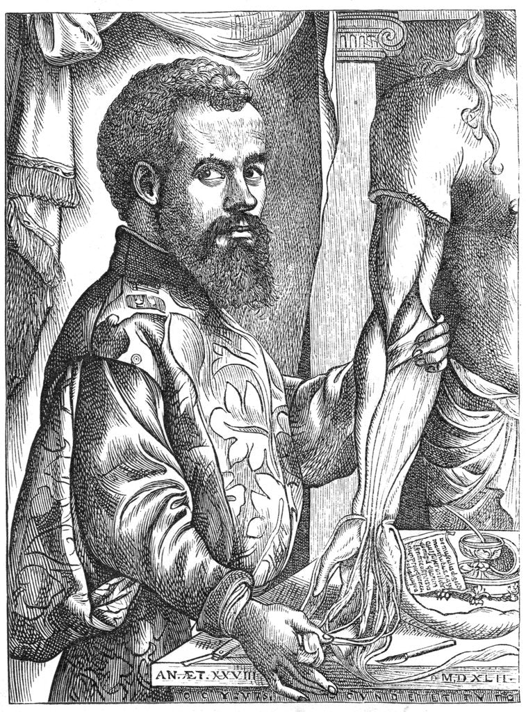 Detail of Andreas Vesalius, 16th century Flemish anatomist by Unknown