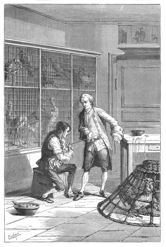 Detail of Lazaro Spallanzani, 18th century Italian naturalist and biologist, 1874 by Unknown