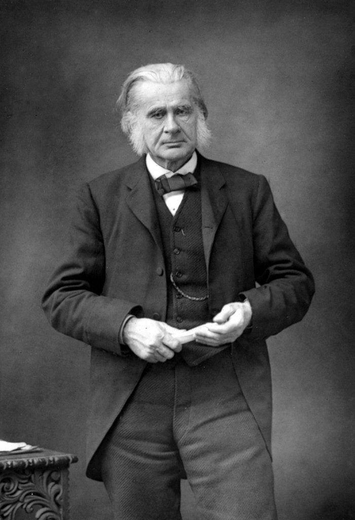 Detail of Thomas Henry Huxley, British biologist, c1890 by W&D Downey