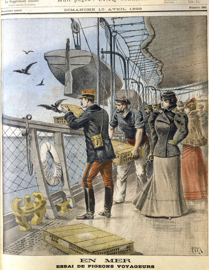 Detail of Releasing French army homing pigeons on board the transatlantic liner La Bretagne, 1898 by Unknown