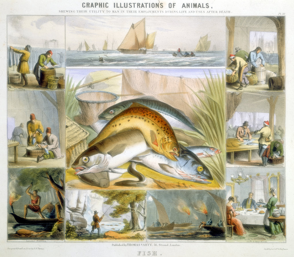 Detail of Fish, c1850 by Robert Kent Thomas