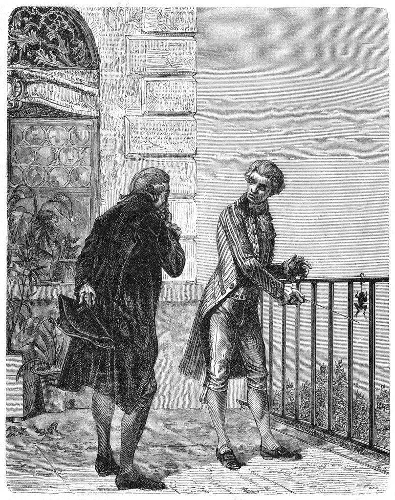 Detail of Luigi Galvani, 18th century Italian physiologist, 1880 by Unknown