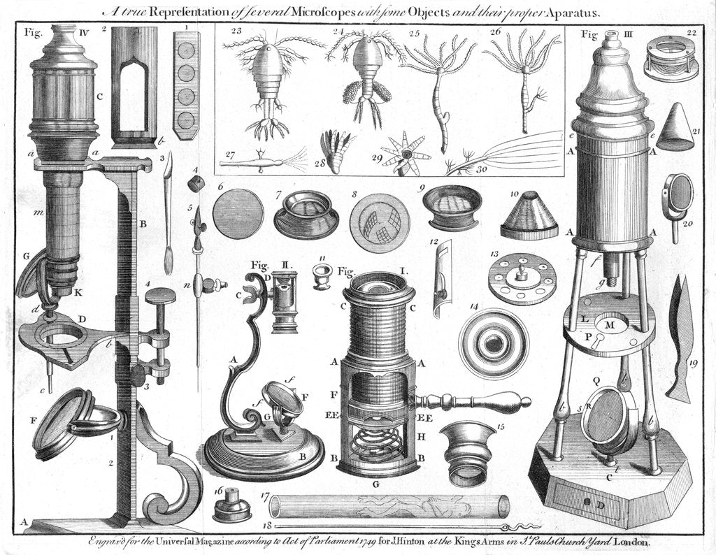 Detail of Microscopes and microscopical objects, 1750 by Unknown