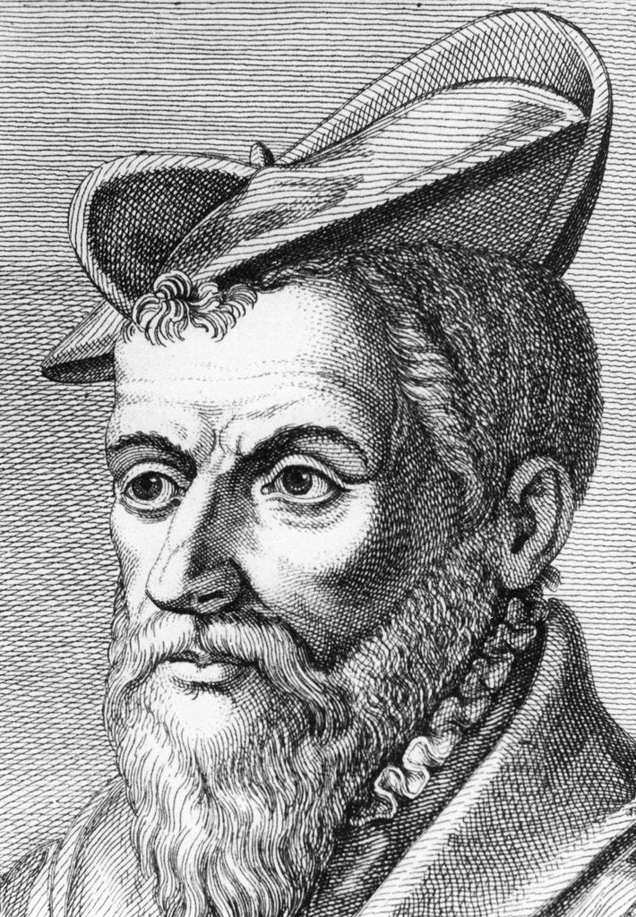 Detail of Pierre Belon, French naturalist, 1553 (1762) by Unknown