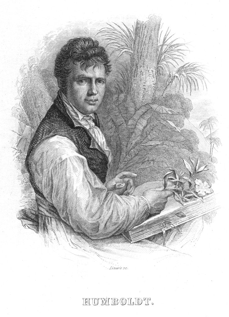 Detail of Alexander von Humboldt, German naturalist, c1830 by William Home Lizars