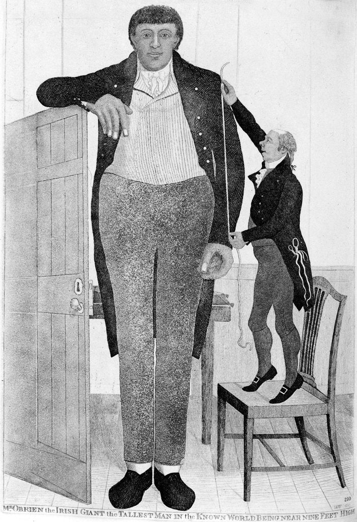 Detail of Mr O'Brien, the Irish Giant, the Tallest Man in the Known World, 1803. by John Kay