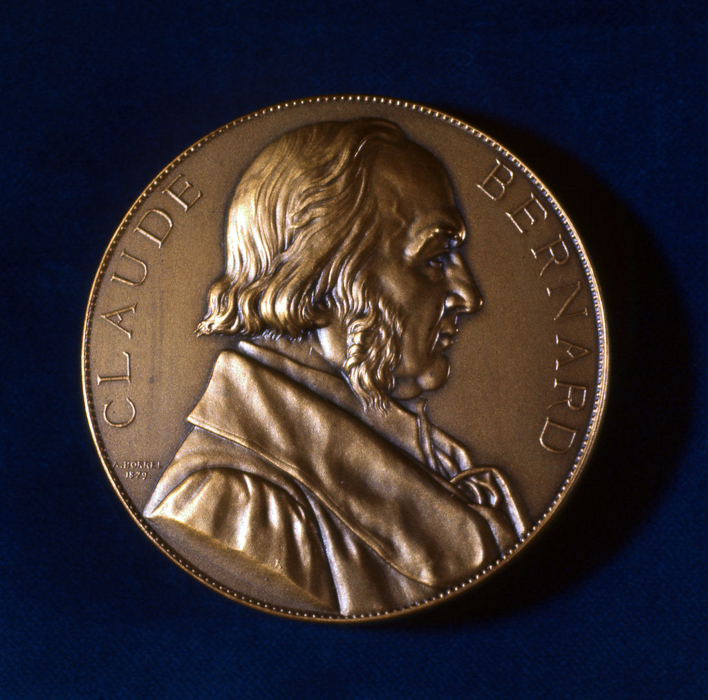 Detail of Claude Bernard, French physiologist, 19th century by Unknown