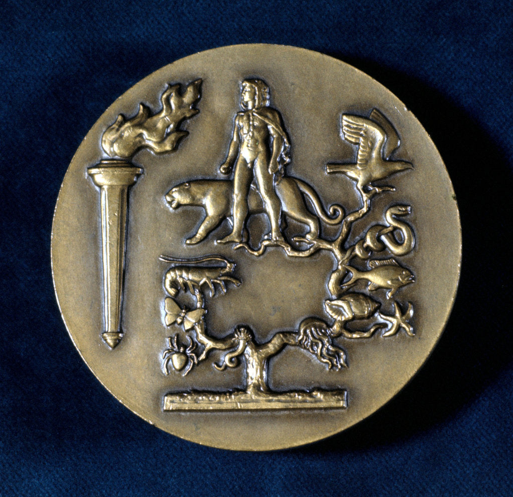 Detail of Medal commemorating Jean Baptiste de Monet, Chevalier de Lamarck, French biologist, 20th century by Unknown