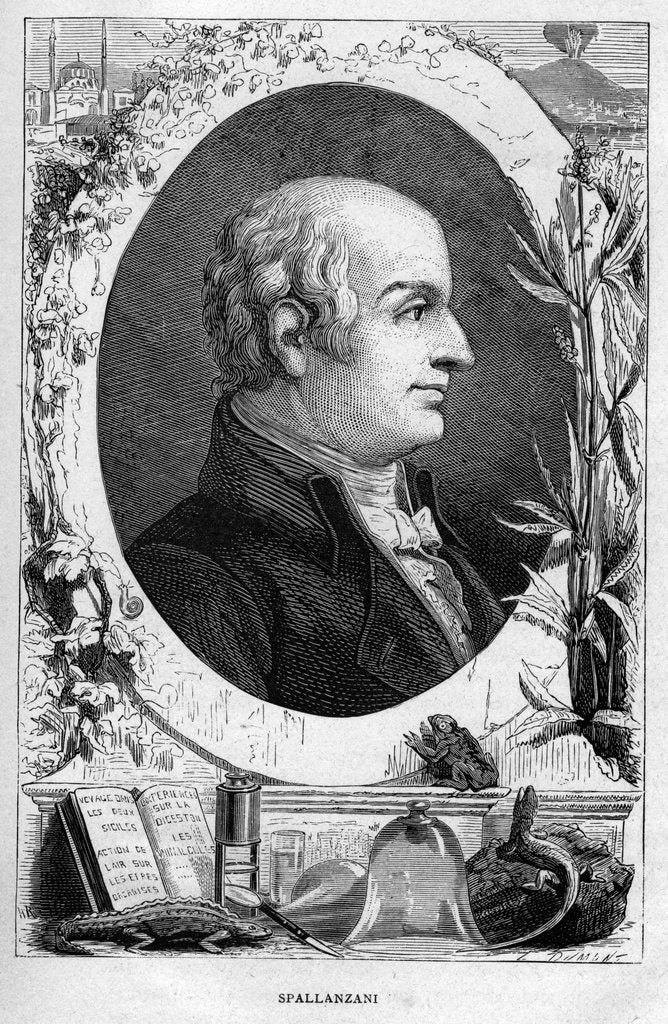 Detail of Lazzaro Spallanzani, Italian biologist, 1874 by Unknown