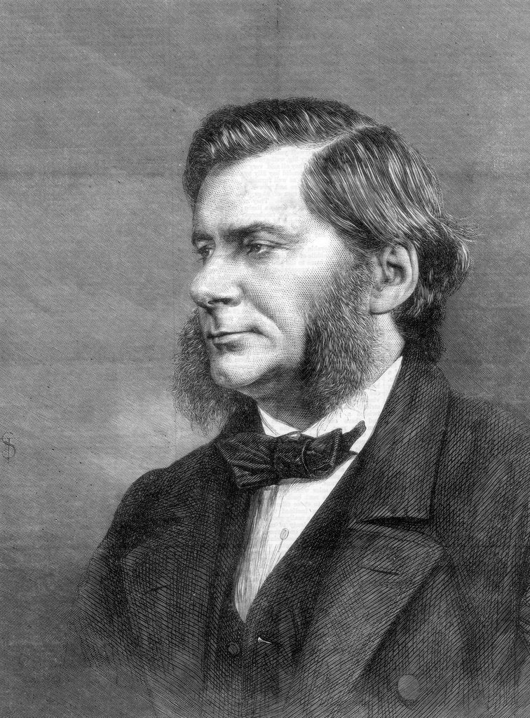 Detail of Thomas Henry Huxley, British biologist, 1871 by Unknown