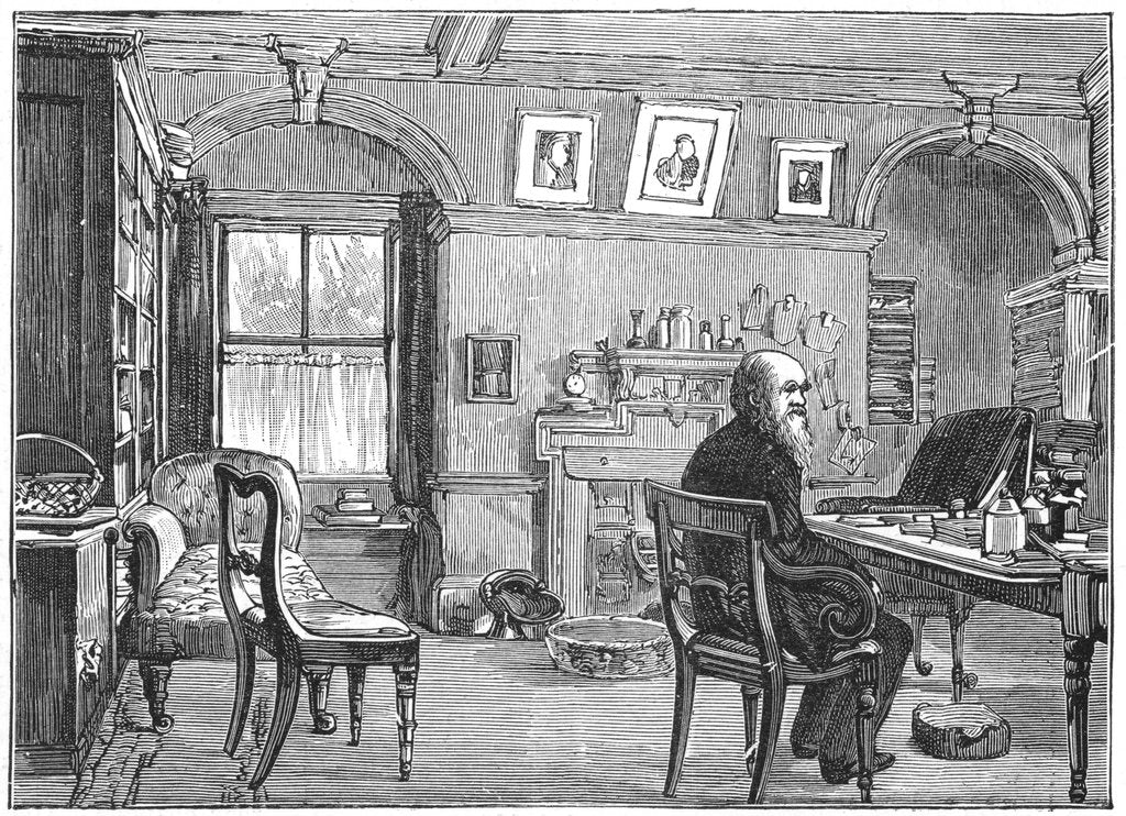 Charles Darwin, English naturalist, in his study, c1870 (1887) by Anonymous