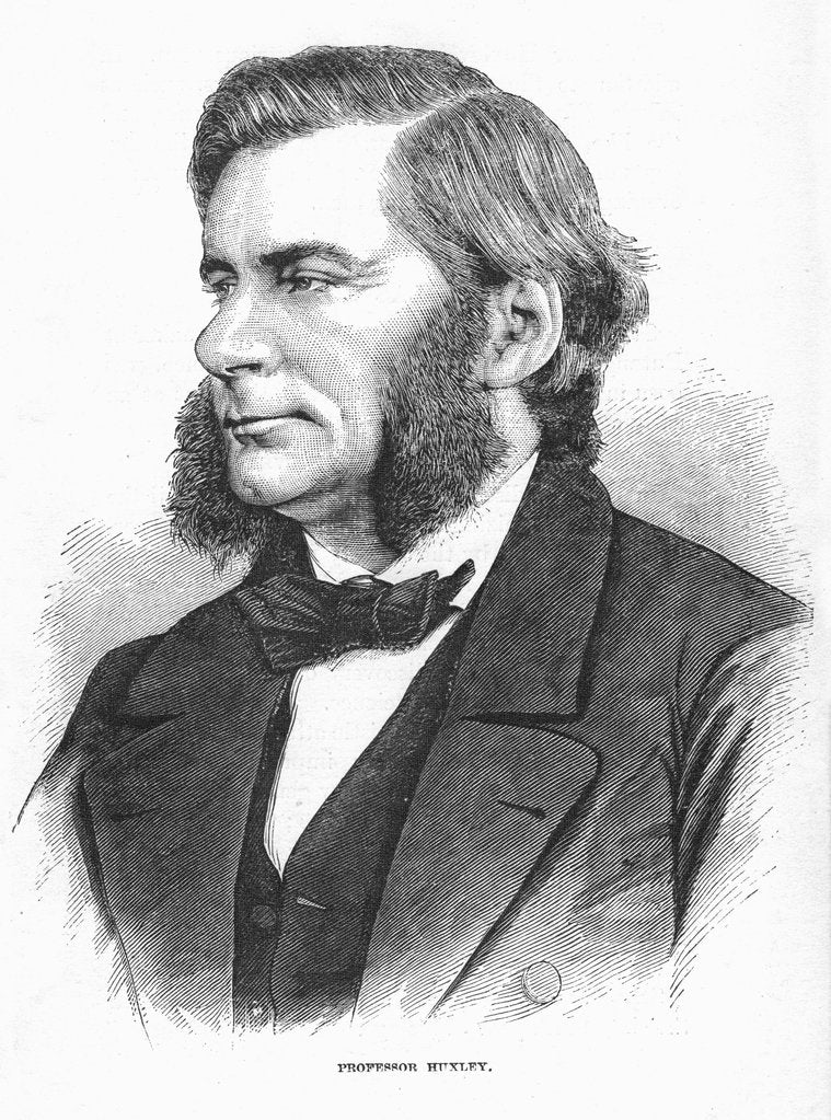 Detail of Thomas Henry Huxley, British biologist, c1860s by Unknown