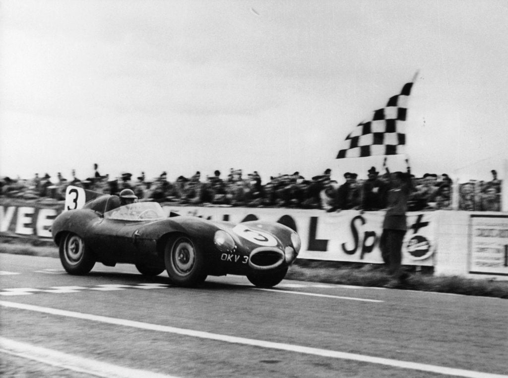 Detail of Ken Wharton in a Jaguar D Type, Rheims 12 Hours Race, France, 3rd July 1954 by Unknown