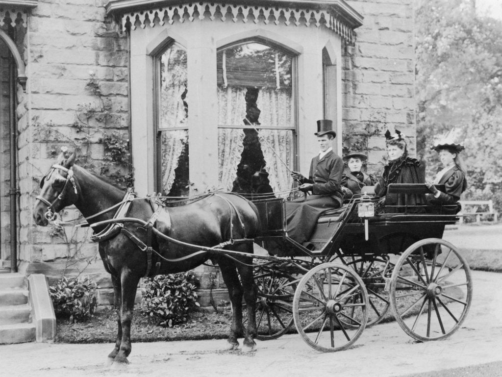 Detail of Women and a coachman in a pony and trap, late 19th century by Unknown