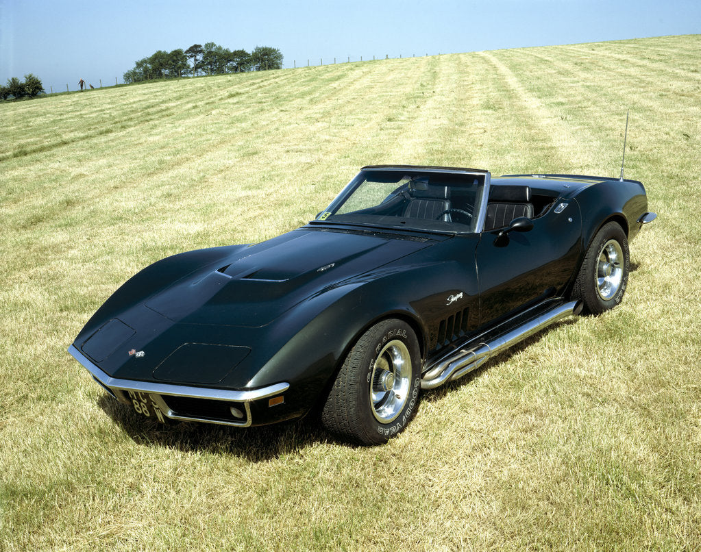 Detail of A 1969 Chevrolet Corvette Stingray in a field by Unknown