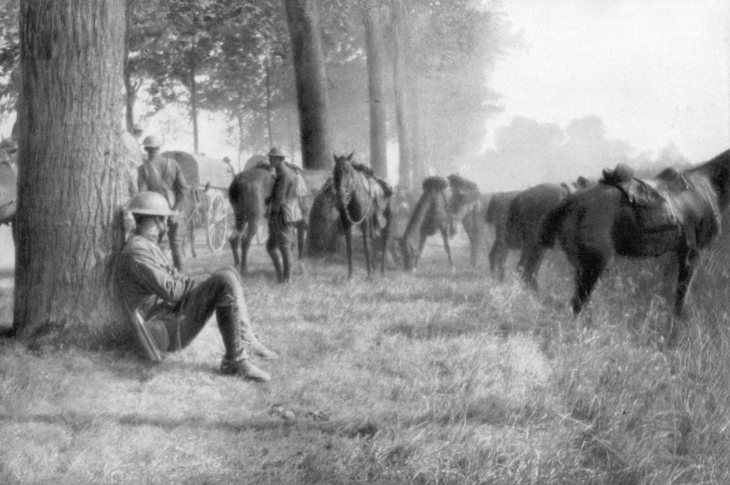 Detail of American cavalry unit at rest, Chemin des Dames, France by Anonymous