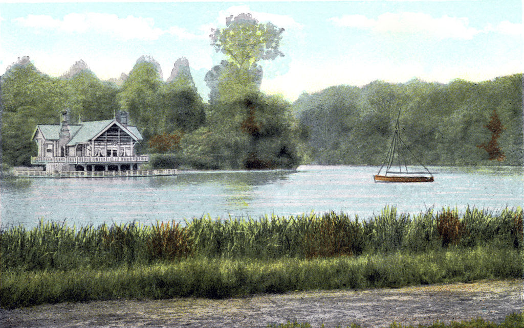 Detail of Virginia Water, Surrey by Anonymous