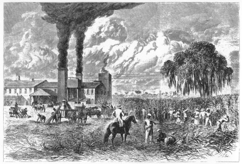 Detail of Sugar Plantation, New Orleans by A R Ward
