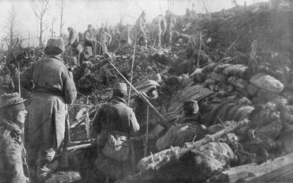 Detail of Abandoned German trenches, Eparges ridge, near Verdun, France by Anonymous