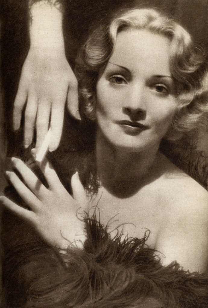 Detail of Marlene Dietrich, German-American actress by Anonymous