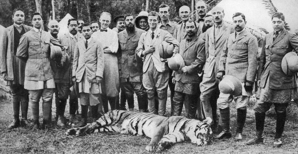 Detail of The Prince of Wales tiger shooting in Nepal, the Indian Tour by Anonymous