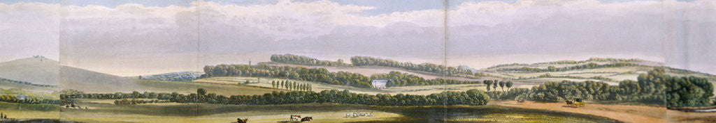 Detail of Regent's Park, London by Anonymous