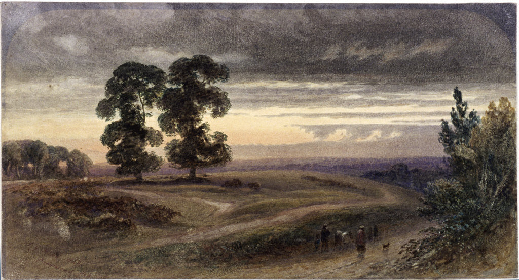 General view of Hampstead, London by George Henry Hine