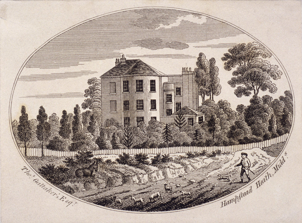 Detail of Hill House, Hampstead Heath, Hampstead, London by Anonymous