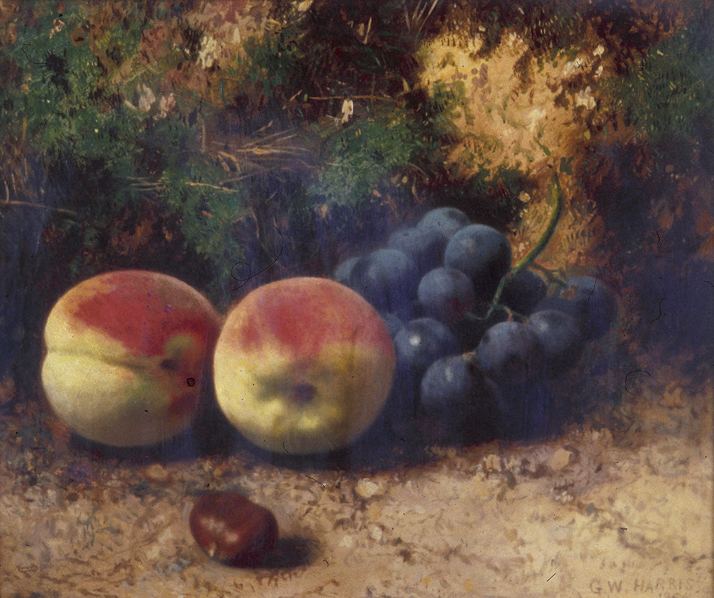 Detail of Peaches and Grapes by George Walter Harris