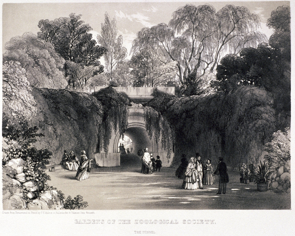 Detail of Zoological Gardens, Regent's Park, Marylebone, London by FW Hulme