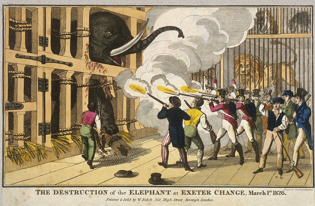 Detail of Destruction of the furious elephant at Exeter Change by Anonymous