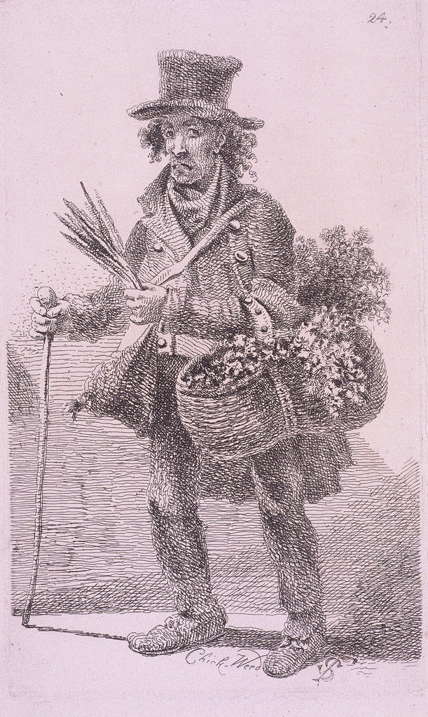 Chick-Weed, Cries of London, 1819 by John Thomas Smith
