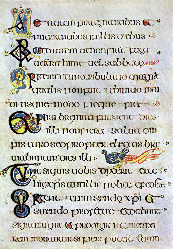 Decorated text page, 800 AD by Anonymous