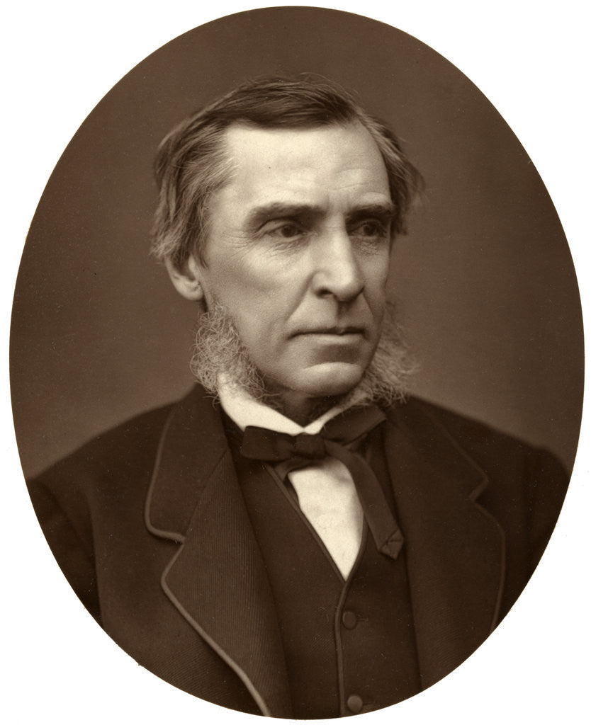 Detail of James Anthony Froude, British historian by Lock & Whitfield