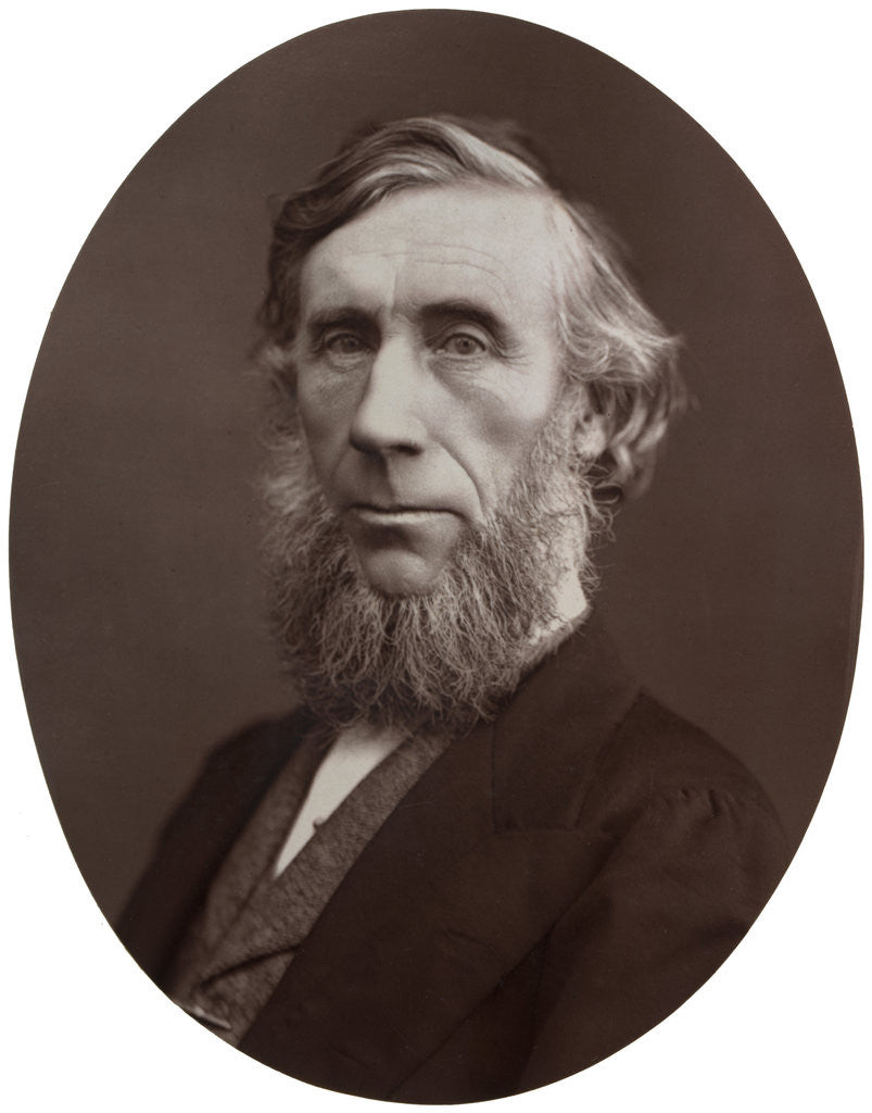 Detail of John Tyndall, DCL, LLD, FRS, Professor of Natural Philosophy at the Royal Institution by Lock & Whitfield