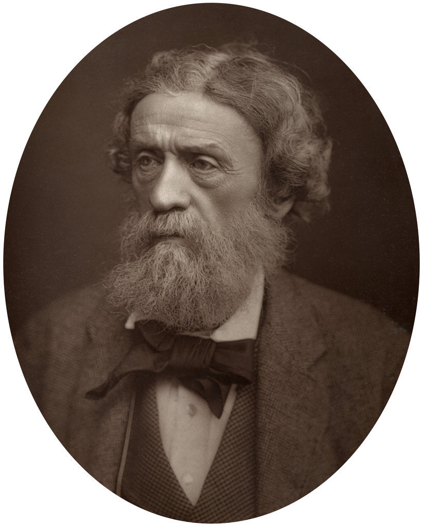 Detail of Charles Thomas Newton, CB, DCL, Professor of Archeology at University College London by Lock & Whitfield