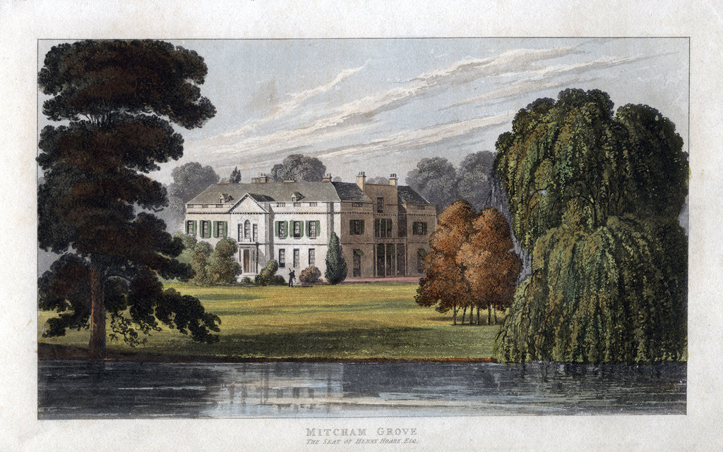 Detail of Mitcham Grove, Surrey, the seat of Henry Hoare by Anonymous