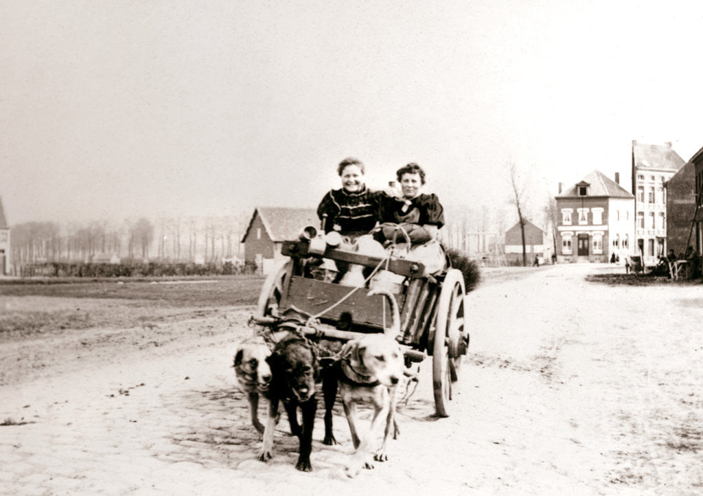 Detail of Dogs pulling women on a cart, Antwerp by James Batkin