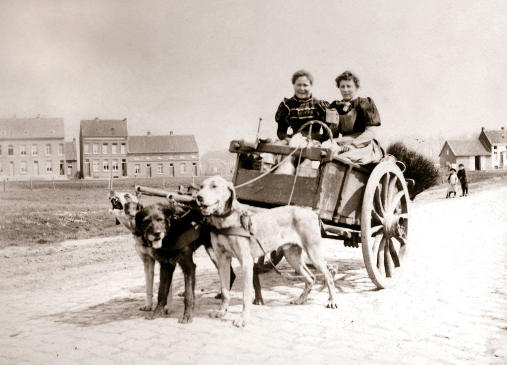Detail of Dogs pulling women on a cart, Antwerp by James Batkin