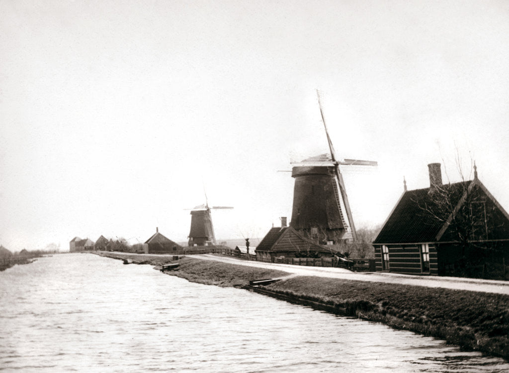 Detail of Windmills, Laandam, Netherlands by James Batkin