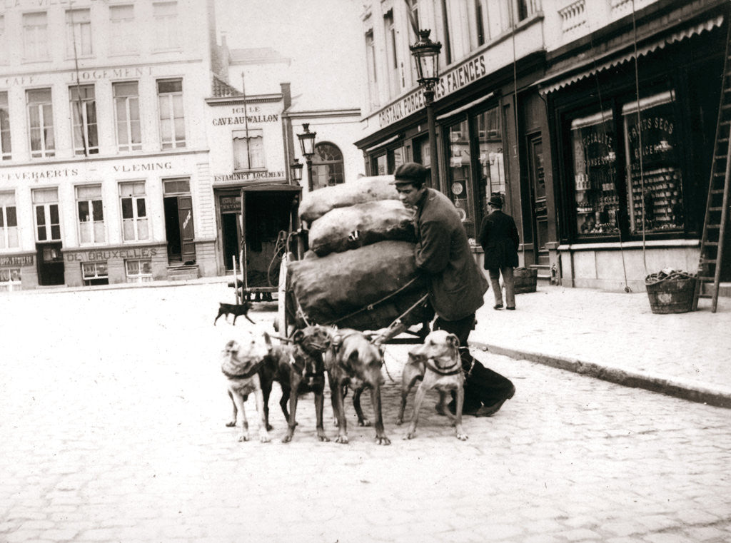 Detail of Man with dogcart, Antwerp by James Batkin