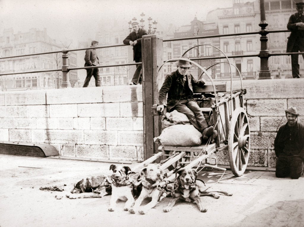 Detail of Man with dogcart, Antwerp by James Batkin