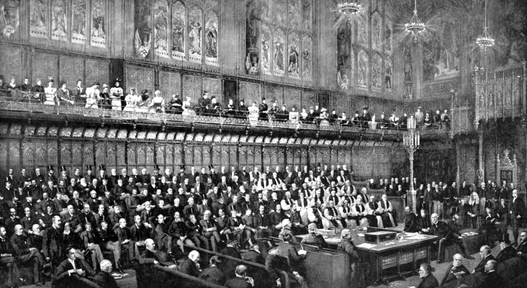 Detail of The House of Lords during the Home Rule Debate by Anonymous