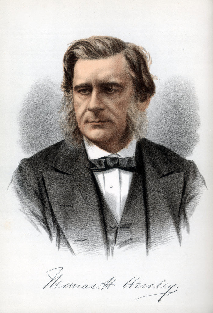 Detail of Thomas Henry Huxley, English biologist by Cassell