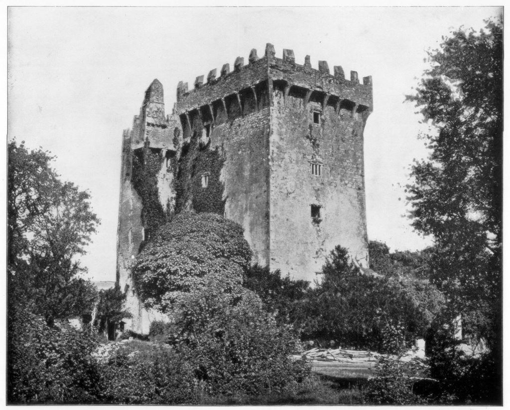 Detail of Blarney Castle, Ireland by John L Stoddard