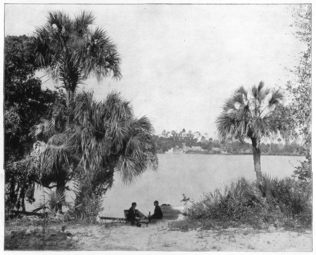 Detail of Indian River, Florida by John L Stoddard