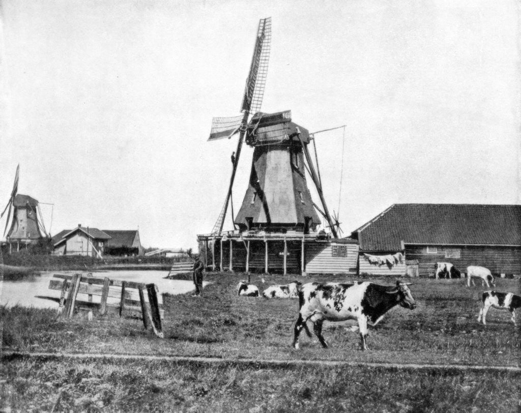 Detail of Dutch windmills, Holland by John L Stoddard