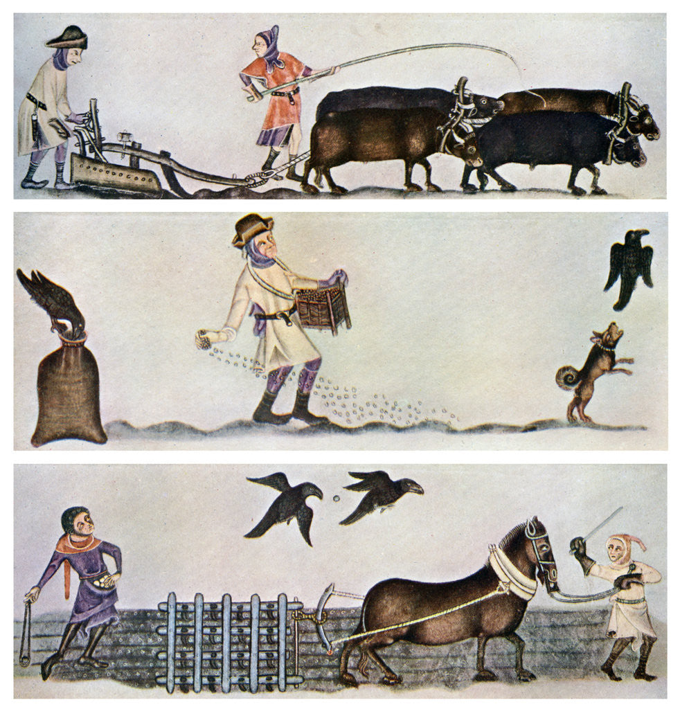 Detail of Ploughing, sowing, and harrowing, c1300-1340, (c1900-1920) by Anonymous