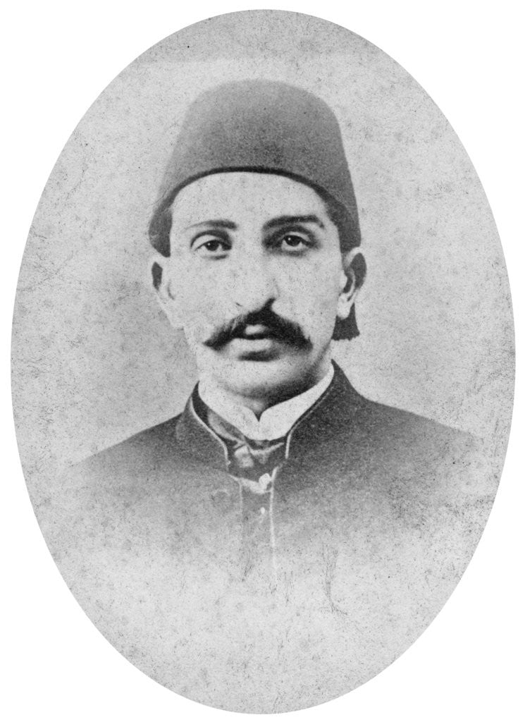 Detail of The Sultan of Turkey by London Stereoscopic & Photographic Co